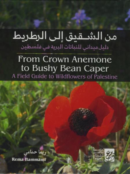 From Crown Anemone to Bushy Bean Caper