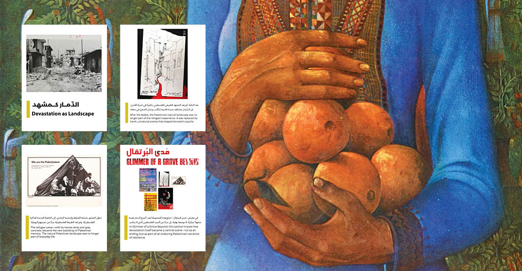 Glimmer of a Grove Beyond- social media kit