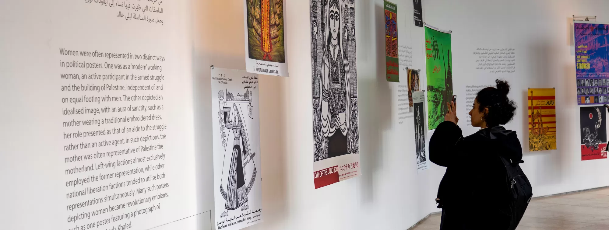 Glimmer of A Grove Beyond