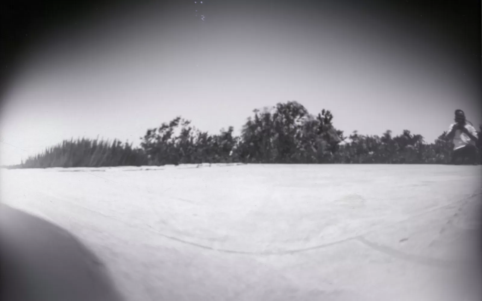 Pinhole camera photography workshop