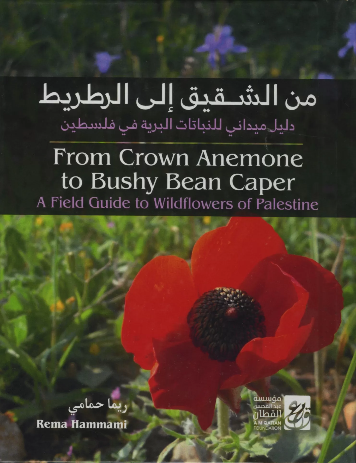 From Crown Anemone to Bushy Bean Caper